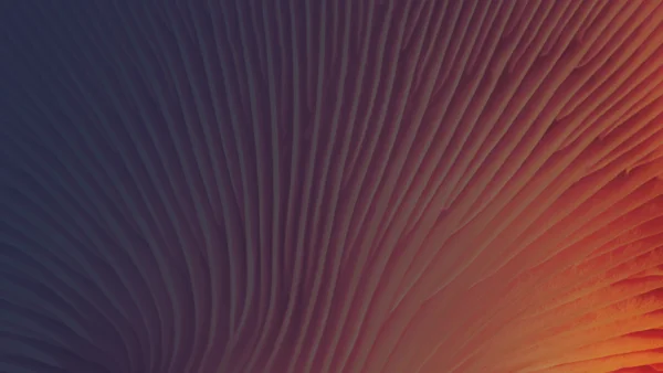 Insights Orange Mushroom Gills Adobestock 137390679 OVERLAY